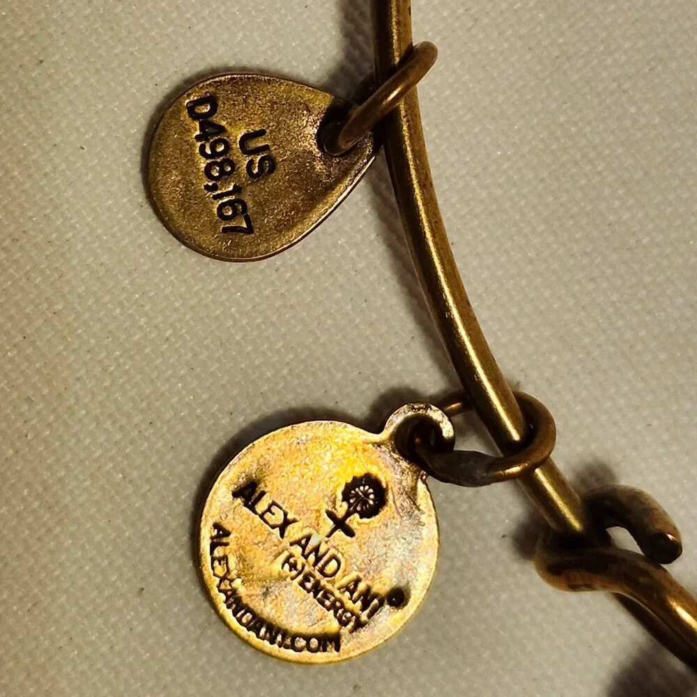 Alex and Ani Las Vegas Poker Chip Charm Gold Tone Energy Bangle Rafaelian Gold - Picture 8 of 8